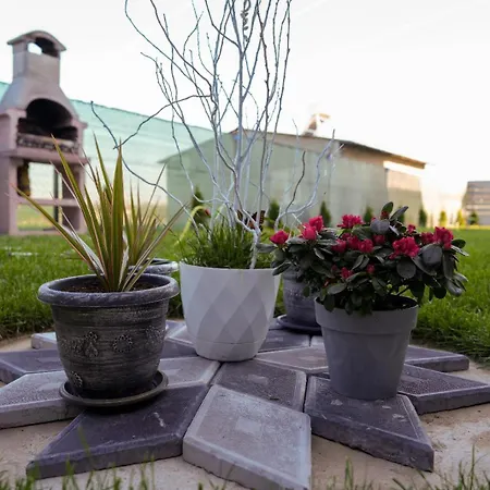 Biama House Casa de hóspedes